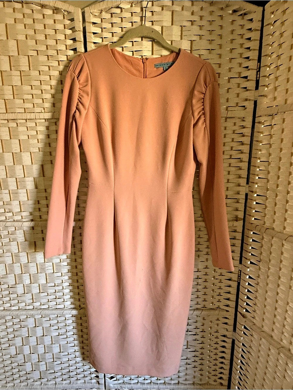 Antonio Melani Long Sleeve Midi Dress